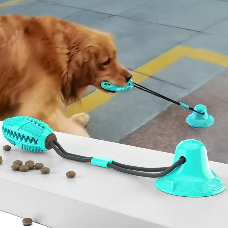 Dog Suction Cup Chew Toys